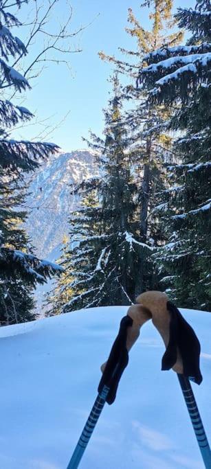 Bel appart pour 4/6 pers plein SUD sans vis a vis Chamrousse Extérieur photo