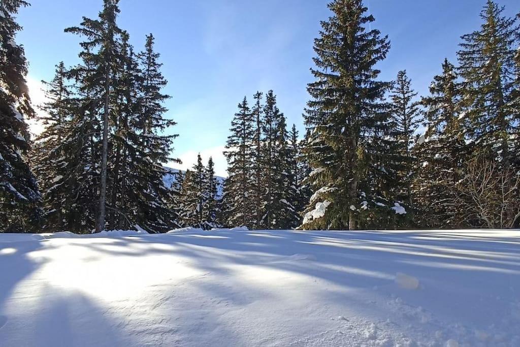Bel appart pour 4/6 pers plein SUD sans vis a vis Chamrousse Extérieur photo