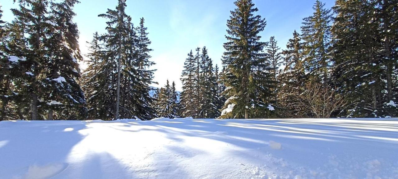 Bel appart pour 4/6 pers plein SUD sans vis a vis Chamrousse Extérieur photo